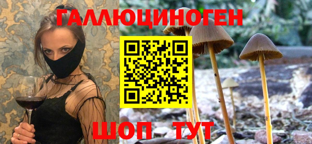 Псилоцибиновые грибы мицелий Губкин