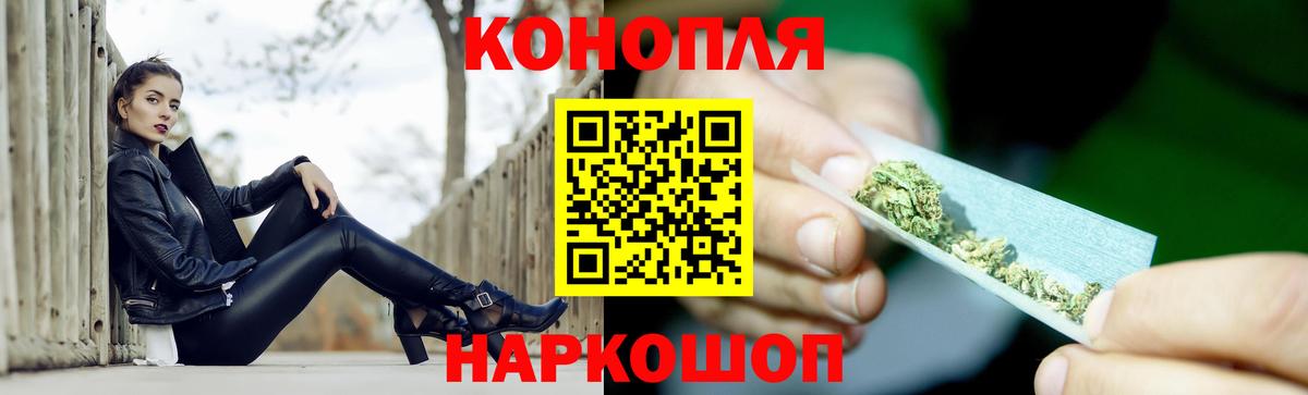 Шишки марихуана семена Губкин